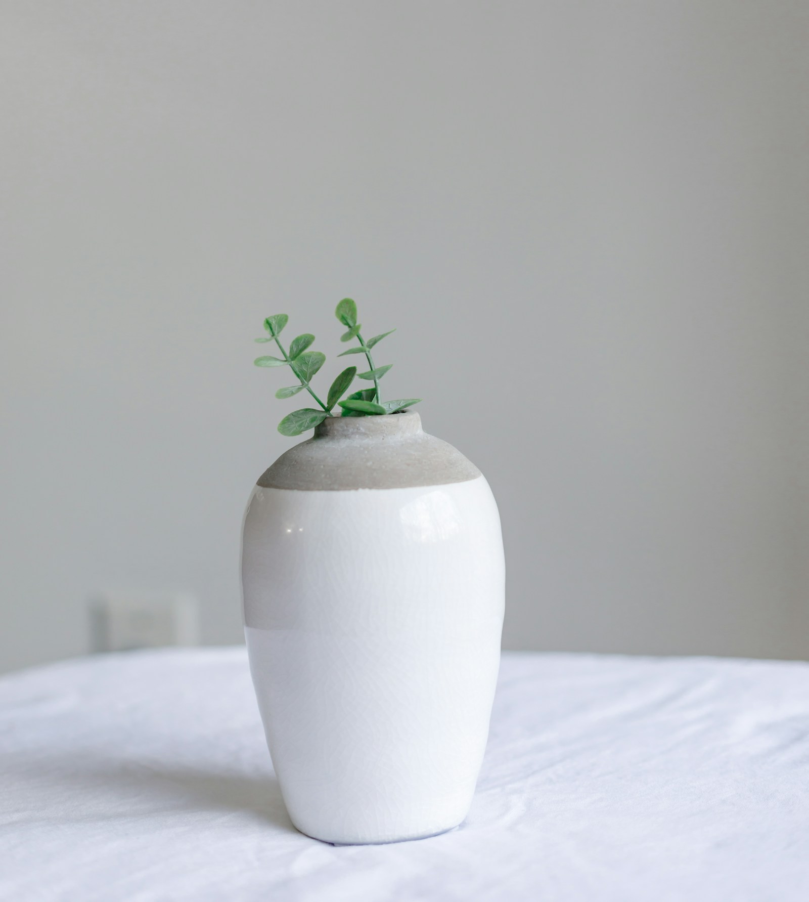 Vaso de cerâmica branca minimalista com planta verde em ambiente claro